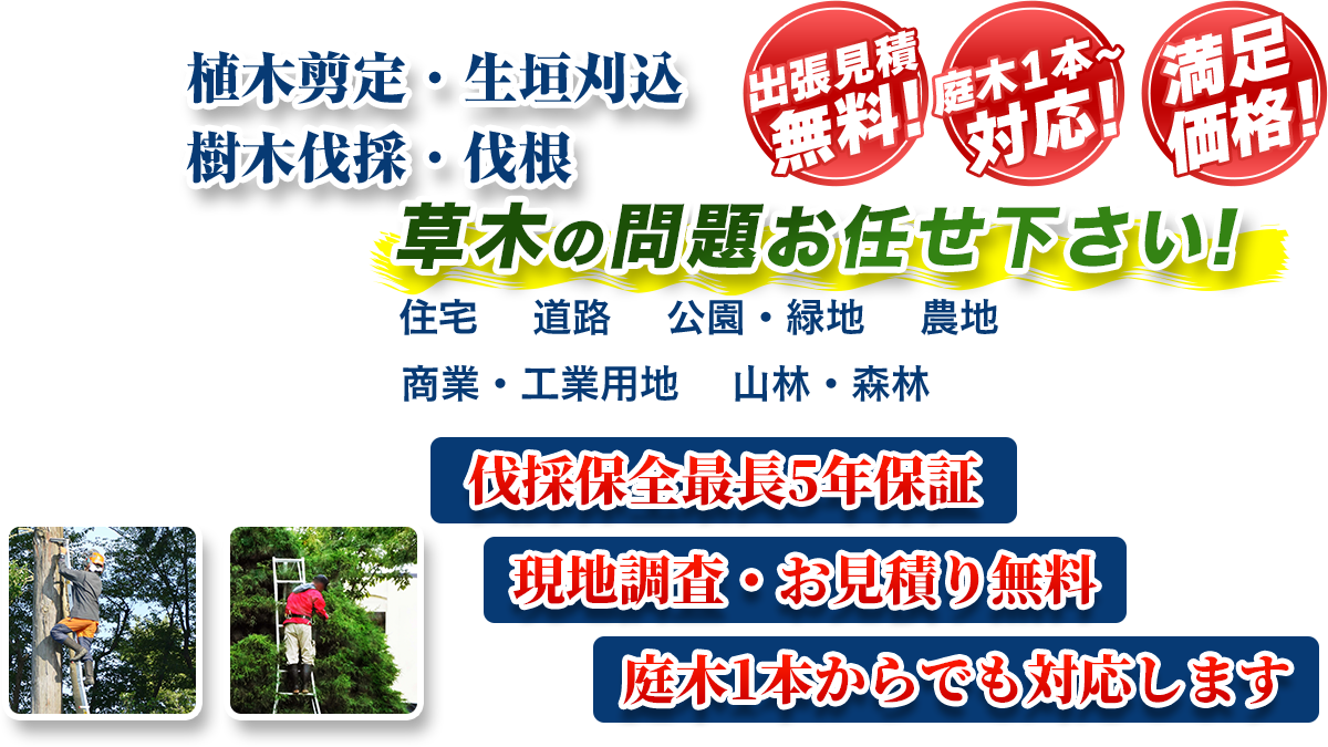 前橋市エリア即対応!! 出張無料! 庭木1本~対応! 満足価格! 植木剪定・生垣刈込 樹木伐採・伐根 草木の問題お任せ下さい! 住宅 道路 公園・緑地 農地 商業・工業用他 山林・森林 伐採保全最長5年保証 現地調査・お見積り無料 庭木1本からでも対応します